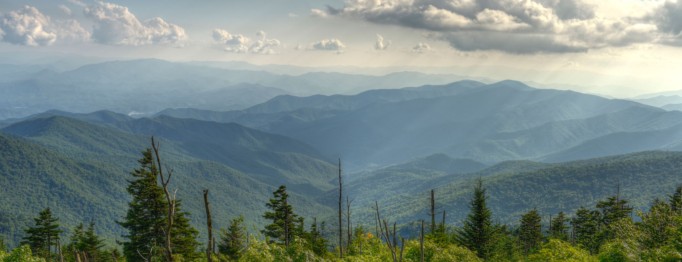 Royal Canteen Royal Canteen